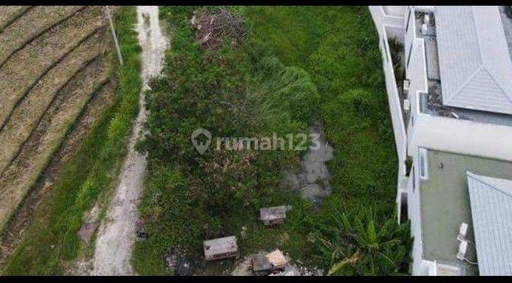 Tanah Dekat Pantai 300 M2 Di Pererenan Canggu Bali 2