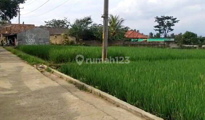 Tanah 1.3 Hektar SHM Sawah Dan Rumah Di Sukabumi  2