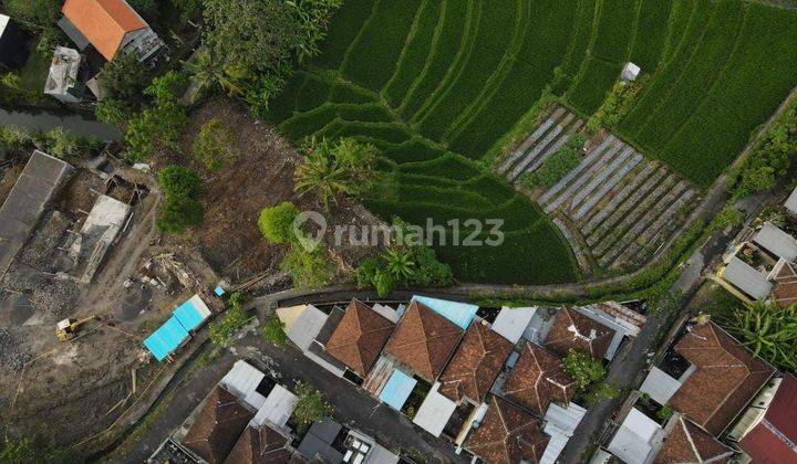 Land 650 M2 Shm In Munggu Villa Area Near Canggu Bali 2