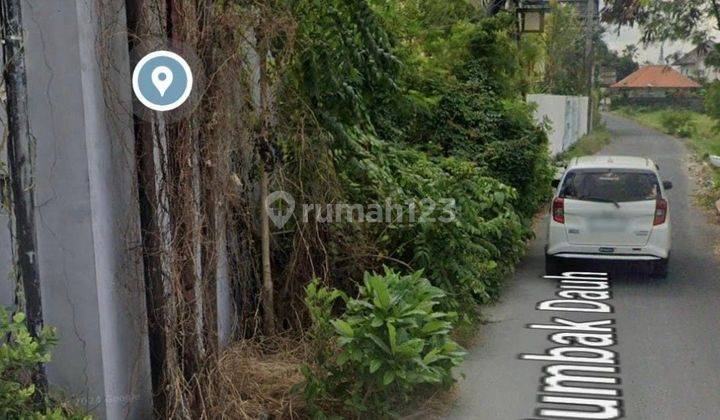 Land 3,320 M2 Freehold In Bumbak Dauh Kerobokan Near Umalas Bali 2