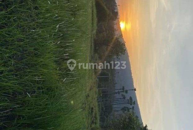 Tanah 1.100 M2 Shm Pinggir Jalan Dan 100 Meter Dari Pantai Amed Karangasem Bali 1