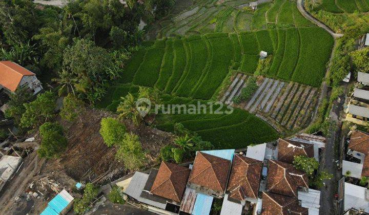 Land 650 M2 Shm In Munggu Villa Area Near Canggu Bali 1