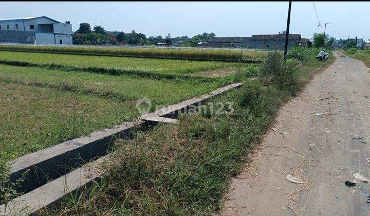 Tanah Sawah Murah 2.700 M2 Shm Di Kawasan Resto Purwomartani Jogyakarta 1