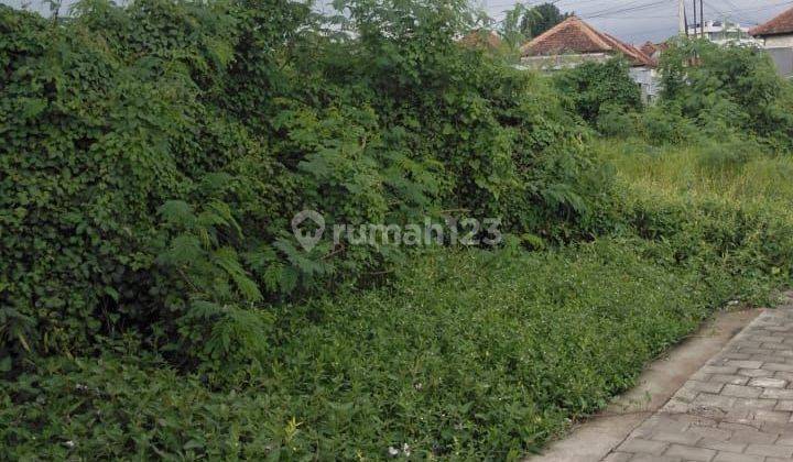 Land 243 M2 Shm Villa Area In Munggu Near Canggu Batu Bolong Bali 1