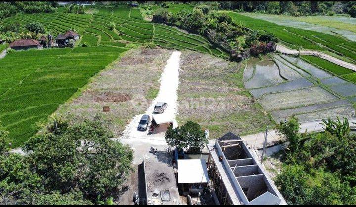 Plot of land 400m2 in Munggu near Cemagi Beach Tabanan Bali 2