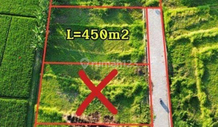 Plot of Land 450 M2 Shm On Jalan Pantai Nyanyi Tabanan Near Tanah Lot And Canggu Bali 2