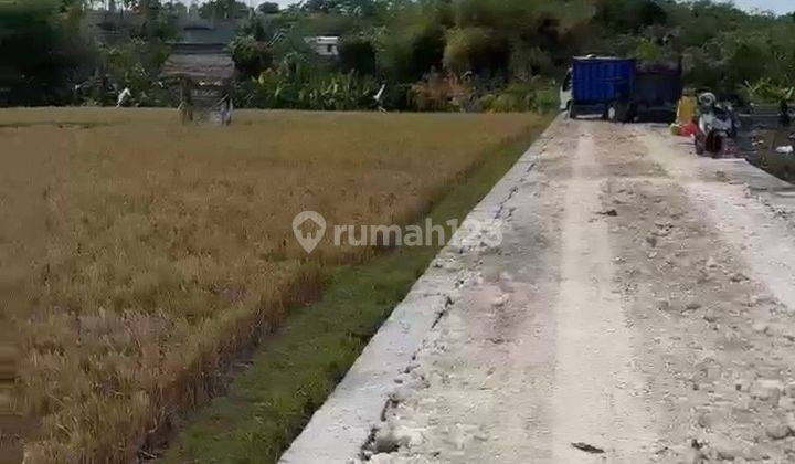 Land 400 M2 Shm In Umalas Near Seminyak And Canggu Balo 1