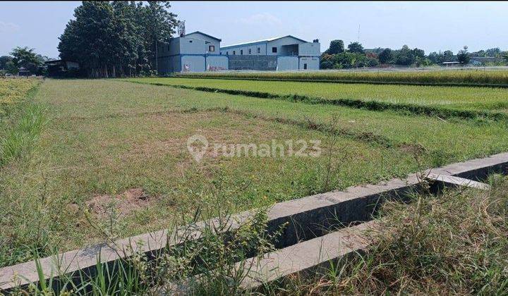 Tanah Sawah Murah 2.700 M2 Shm Di Kawasan Resto Purwomartani Jogyakarta 2