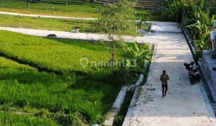 Tanah 230 M2 Shm Di Umalas Bumbak Dekat Seminyak Bali 1