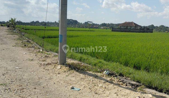 Tanah 735 M2 Shm Zona Kuning Di Nyitdah Dekat Pantai Kedungu Tabanan Bali 1