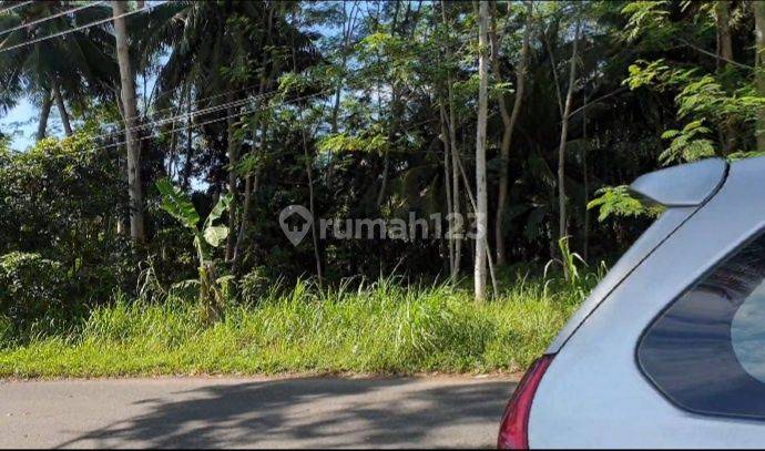 Dijual Sebidang Tanah Kebun Di Pangandaran Jawa Barat Lt 26ha Riy 1