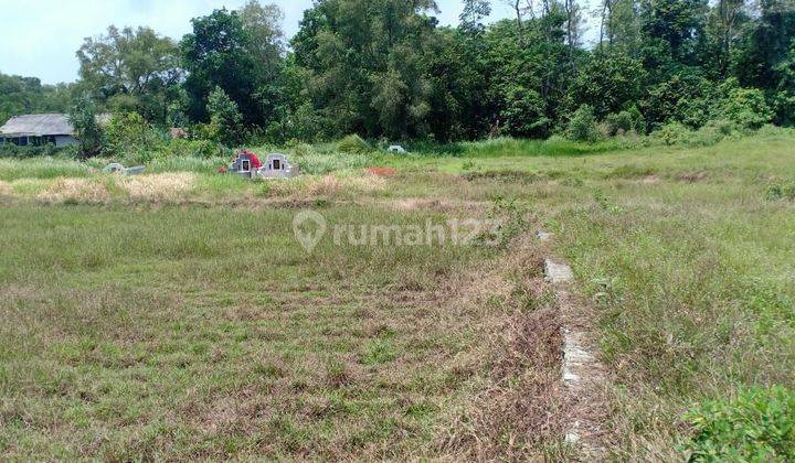 TANAH DARAT MENEMPEL ALIRAN SUNGAI CIPAHEUT TENJO 2