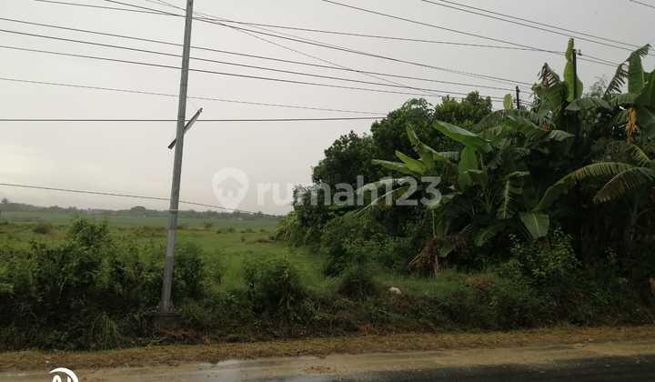 Blora, ready-to-build plot, L-shaped letter.