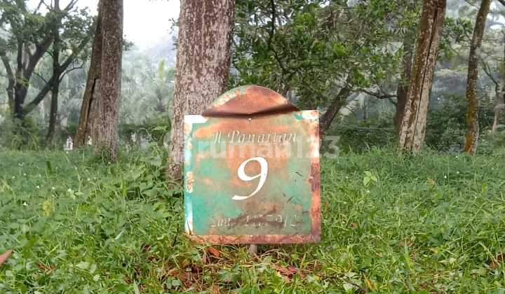 Dijual Kavling Premium Sentul City Rancamaya Bogor Tanah di Rancamaya HGB 1170.0 M²