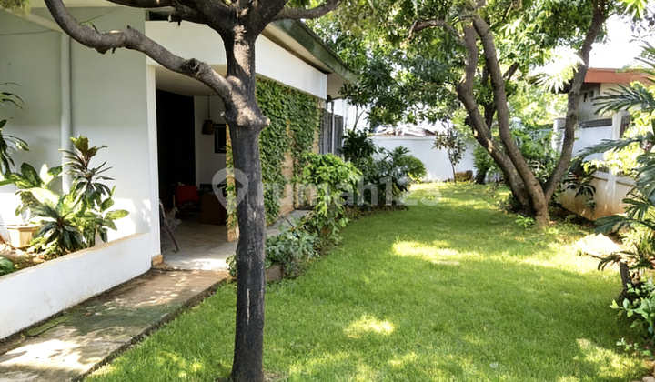 Rumah Komersial Cempaka Putih Tengah 24X39