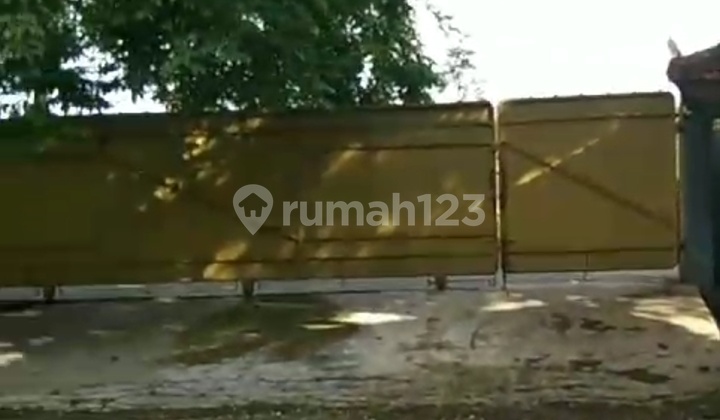 Warehouse 2465m2 Non-Waste 44 Thousand Watt Access 40ft