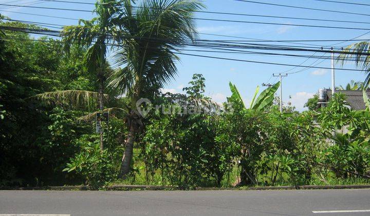 Land For Lease In Batu Belig, Seminyak, Kuta, Close To The Beach, Suitable For Business 1