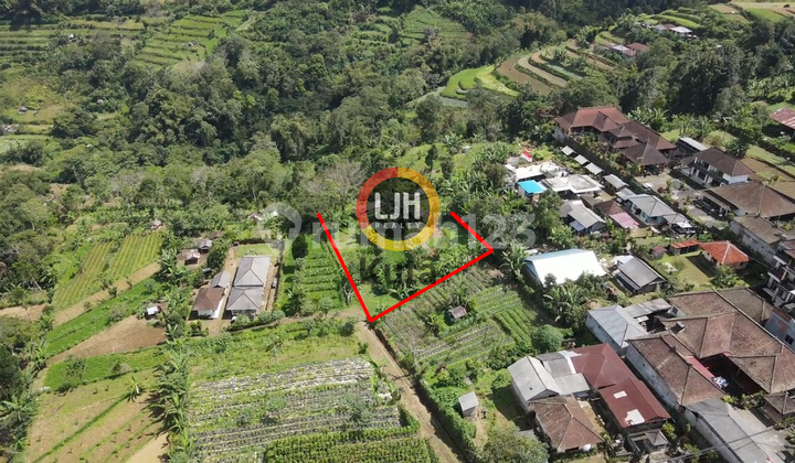 Land In Bedugul, Tabanan With Beautiful View, Suitable For Agrotourism