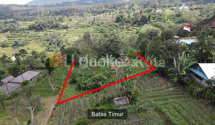 Land In Bedugul, Tabanan With Beautiful View, Suitable For Agrotourism 2