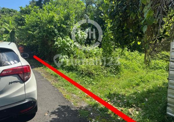 Land in Kediri, Tabanan, Strategic Location in Residential Area, Close to Mengwi Terminal and Alas Kedaton Land in Kediri, Tabanan, Strategic Location in Residential Area, Close to Mengwi Terminal and Alas Kedaton