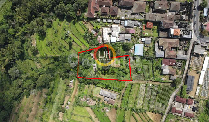 Land In Bedugul, Tabanan With Beautiful View, Suitable For Agrotourism Land In Bedugul, Tabanan With Beautiful View, Suitable For Agrotourism