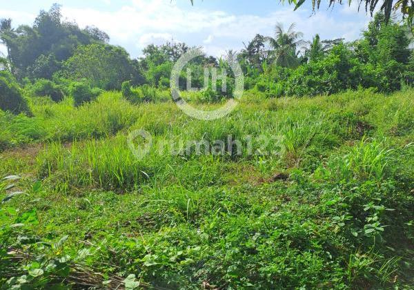 Prime Location Land, Bitera, Gianyar – Near Captain I Wayan Dipta Stadium and Ubud Area, Ideal for Business
