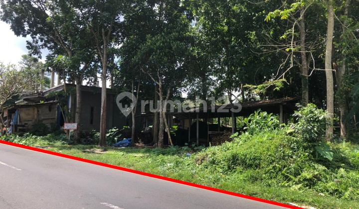 Land For Sale Area Sebatu Gianyar Near to Kintamani