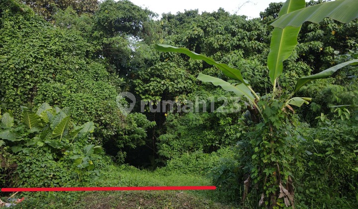 Cheap Land in Tabanan City
