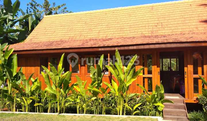 Cozy Villa For Retreat In Quiet Area Payangan Gianyar Close to Ubud Cozy Villa For Retreat In Quiet Area Payangan Gianyar Close to Ubud