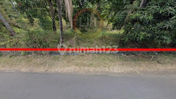 Land In Bulian, Kubutambahan, Buleleng, Suitable for Plantations, Close to Penyusuan Beach and Air Sanih Beach