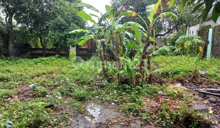 Land For Sale In Sanur Close To Sanur Beach And Plaza Renon Mall Land For Sale In Sanur Close To Sanur Beach And Plaza Renon Mall