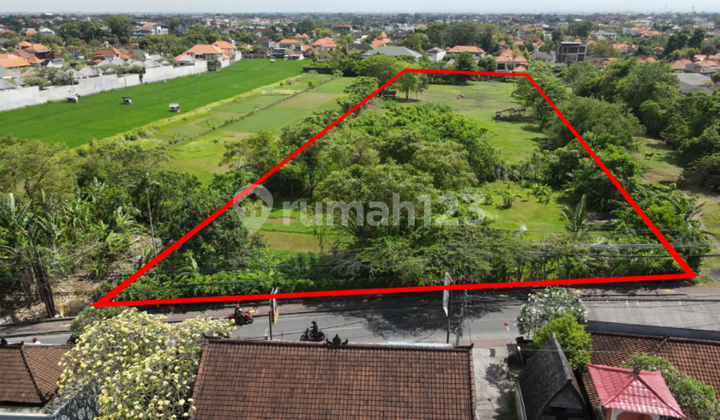 Land for sale in the Batu Belig Seminyak Tourist Area Land for sale in the Batu Belig Seminyak Tourist Area