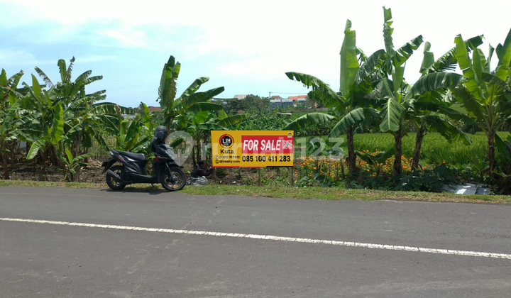Suitable For Villa, House Or Investment, Land In Pererenan Canggu With Quite Environment And Beautiful Rice Field View, Close Echo Beach, Pererenan Beach And Pepito Market