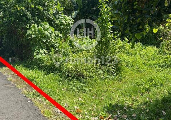 Land in Kediri, Tabanan, Strategic Location in Residential Area, Close to Mengwi Terminal and Alas Kedaton Land in Kediri, Tabanan, Strategic Location in Residential Area, Close to Mengwi Terminal and Alas Kedaton