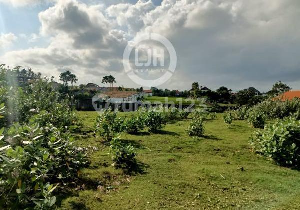 Premium Land in Umalas Kerobokan with Beautiful Environment close to Berawa Beach Premium Land in Umalas Kerobokan with Beautiful Environment close to Berawa Beach