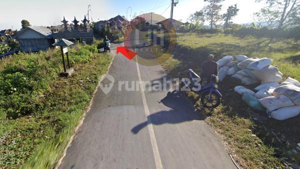 248,5 Are Land in Farm Area Kubutambahan, Buleleng, Near to Kintamani and Mount Batur