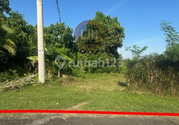 Tanah dengan Pemandangan Sungai dan Hutan yang Indah di Pengeragoan, Pekutatan, Jembrana, Dekat Pantai Yeh Leh