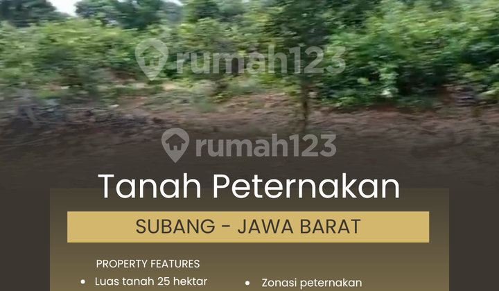 Tanah Zona Peternakan 25 Hektar, Subang - Jawa Barat