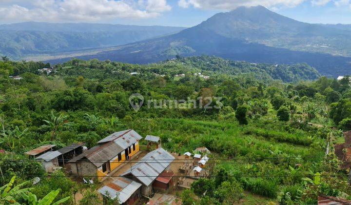 Dijual Tanah 1 Hektar di Kintamani, Bali 1