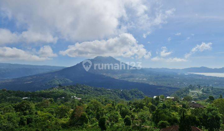 Tanah Luas 10.000 di Kintamani,kintamani, Bali Tengah Dengan View Spektakuler 3