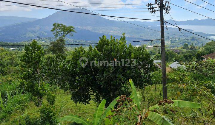 Tanah Luas 10.000 di Kintamani,kintamani, Bali Tengah Dengan View Spektakuler 4