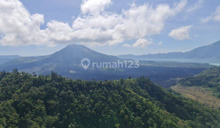 Tanah Luas 10.000 di Kintamani,kintamani, Bali Tengah Dengan View Spektakuler 6