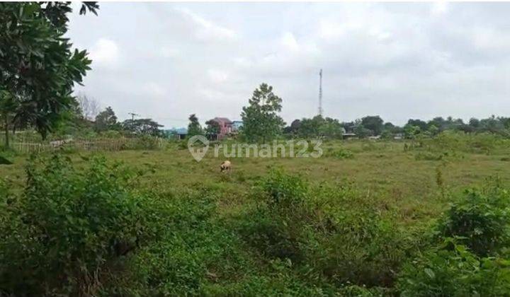 Dijual Tanah Murah Jalan Raya Cisoka Solear Tangerang