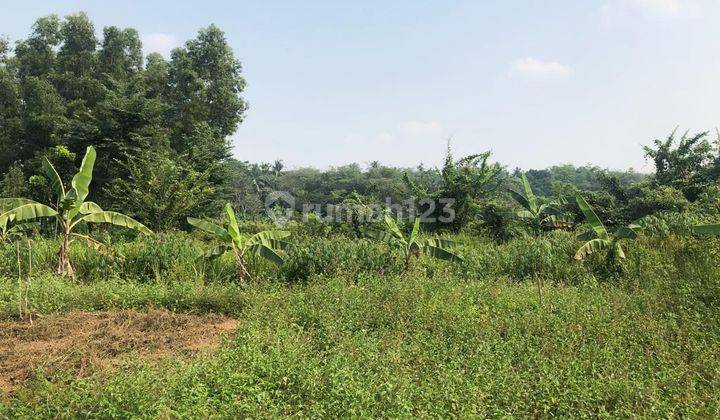 Tanah Industri Ex Pabrik Cikande 2 Hektar Serang, Banten 2