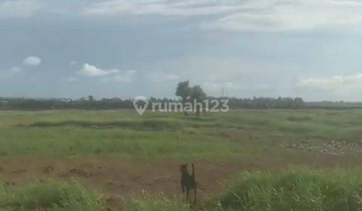 Tanah Kawasan Industri Cikande 7 Hektar Serang Banten 1