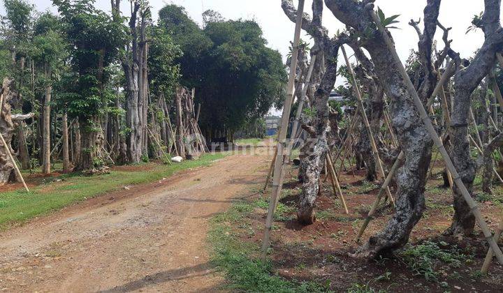 Dijual Cepat Tanah Akses Jalan Nasional Di Parung Bogor 1