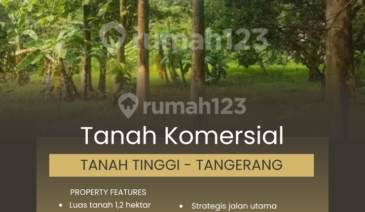 FOR SALE COMMERCIAL LAND IN TANGERANG FOR SALE COMMERCIAL LAND IN TANGERANG