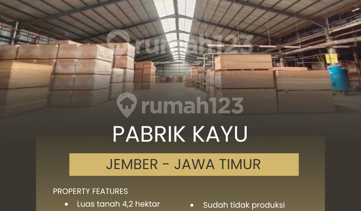 Wood Processing Plant 4.2 Billion, Jember - East Java