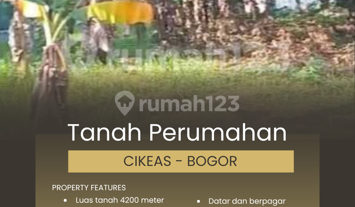 LAND FOR SALE IN CIKEAS BOGOR LAND FOR SALE IN CIKEAS BOGOR