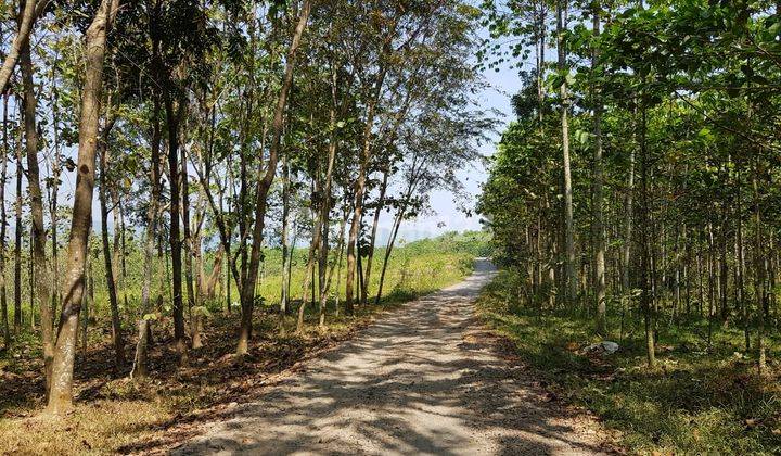 Tanah Industri Dan Pergudangan 150 Hektar Subang Jawa Barat 2